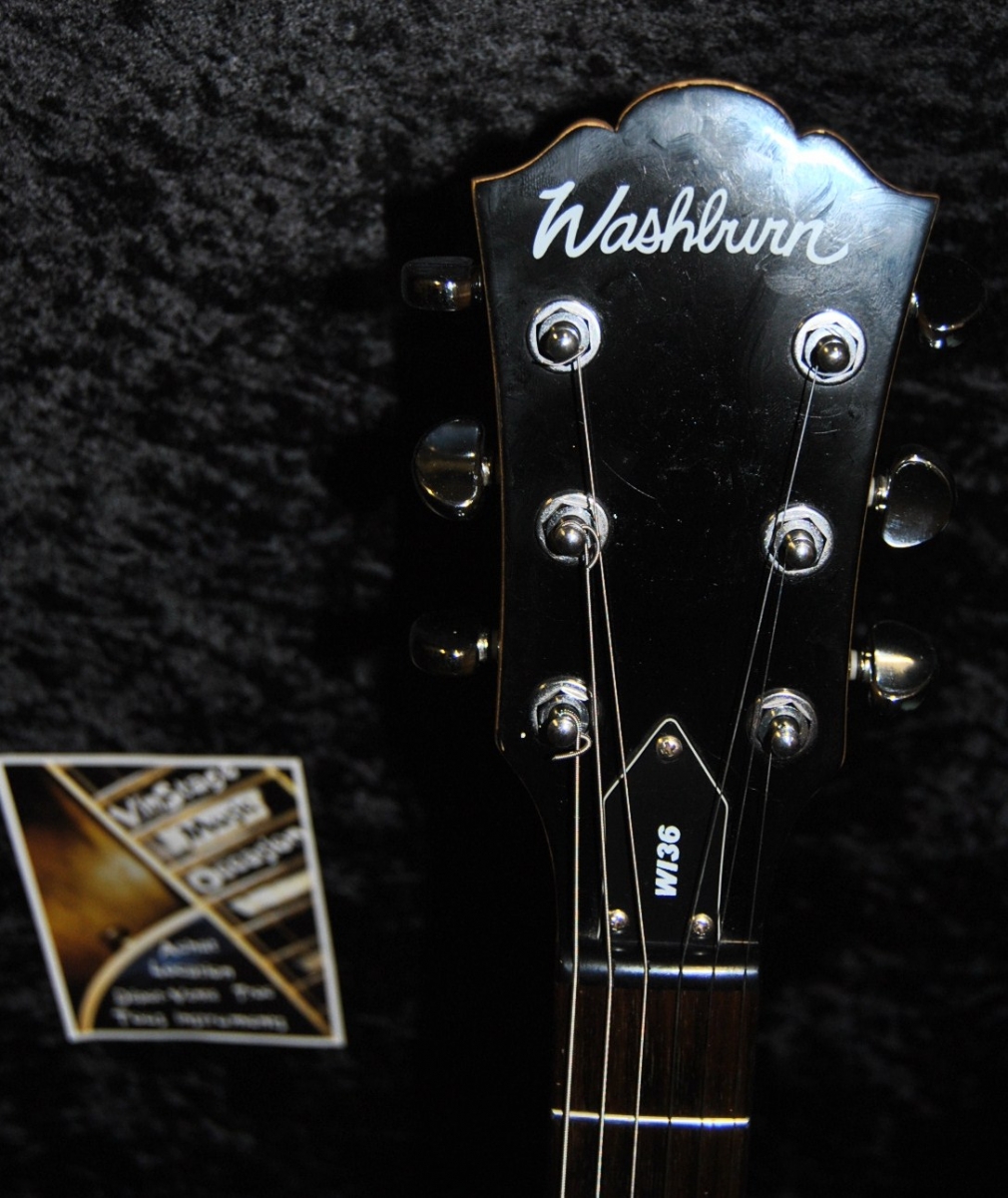 Washburn Wi 36 d occasion